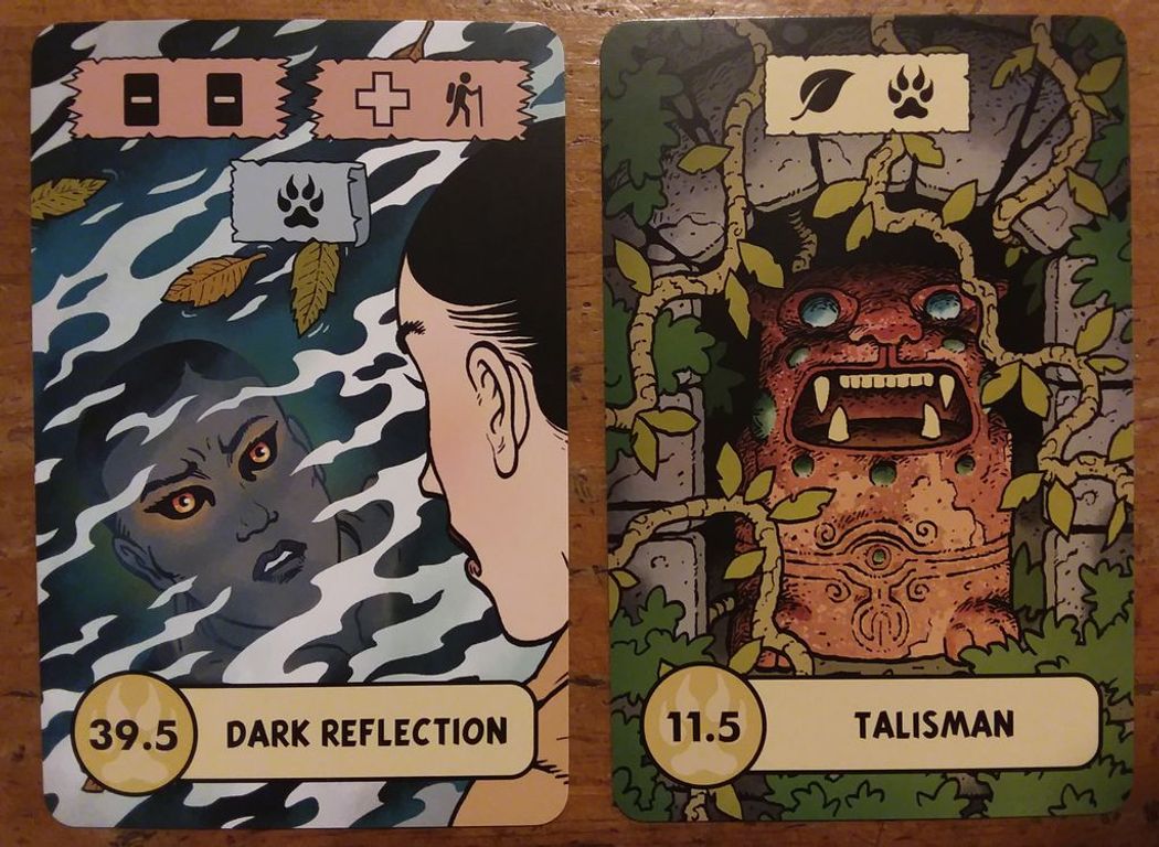 The Lost Expedition: The Fountain of Youth & Other Adventures cards