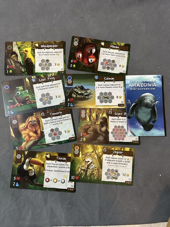 Life of the Amazonia: Mini-Expansion cards