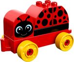 LEGO® DUPLO® Ma première coccinelle animaux