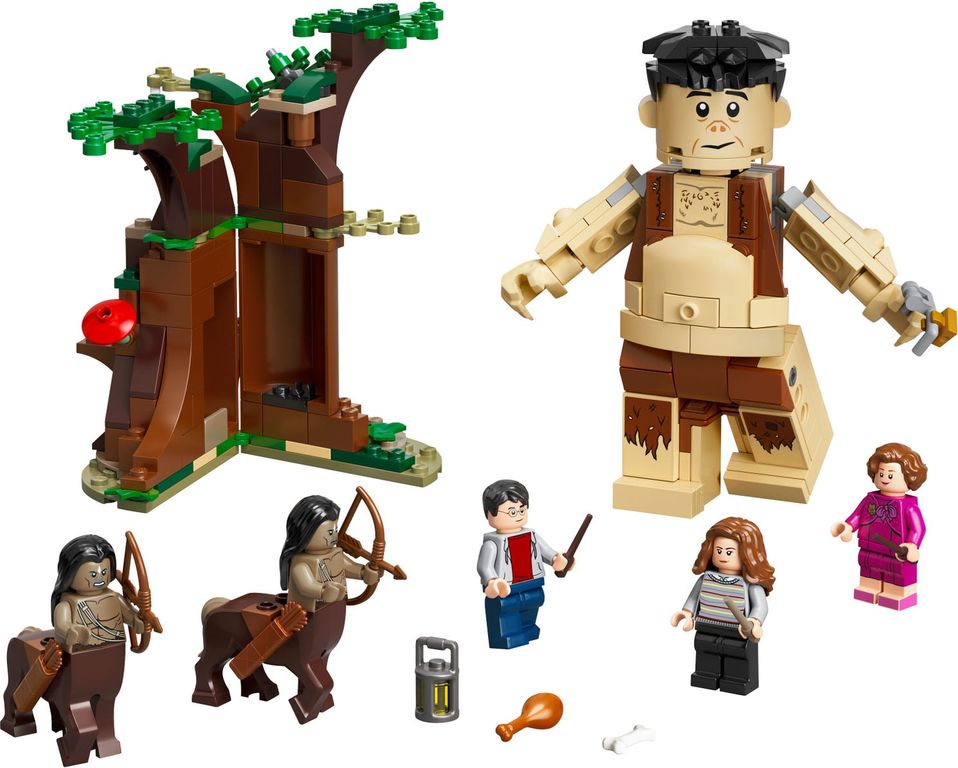 LEGO® Harry Potter™ La Forêt interdite : la rencontre d'Ombrage composants