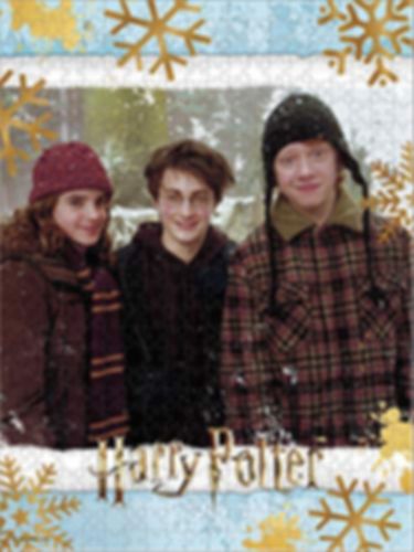 Harry Potter - Christmas at Hogwarts