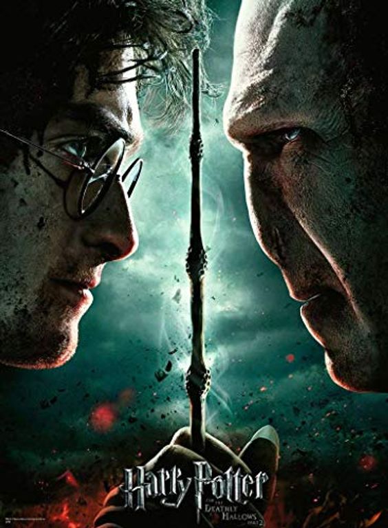 Harry Potter vs Voldemort