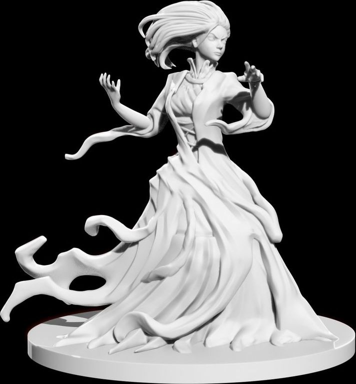 Ivion: The Knight and The Lady miniature
