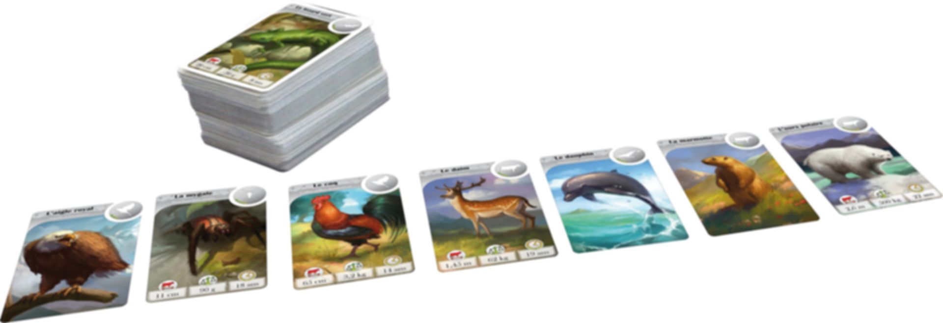 Cardline: Animals kaarten