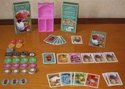 Jaipur components