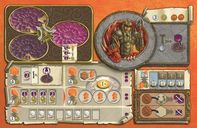 Terra Mystica: Fire & Ice game board