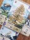 Forest Shuffle: Alpine Expansion cartas
