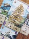 Forêt mixte: Alpes cartes