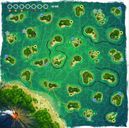 Polynesia: Expansion Map game board