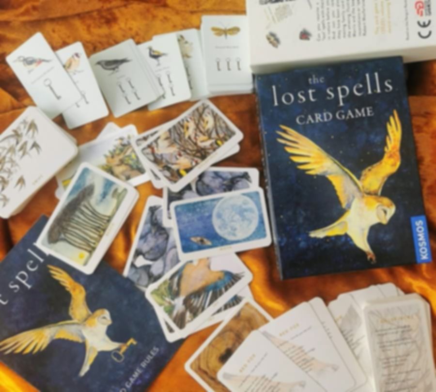 The Lost Spells Card Game components