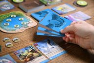 Nature: Flight gameplay