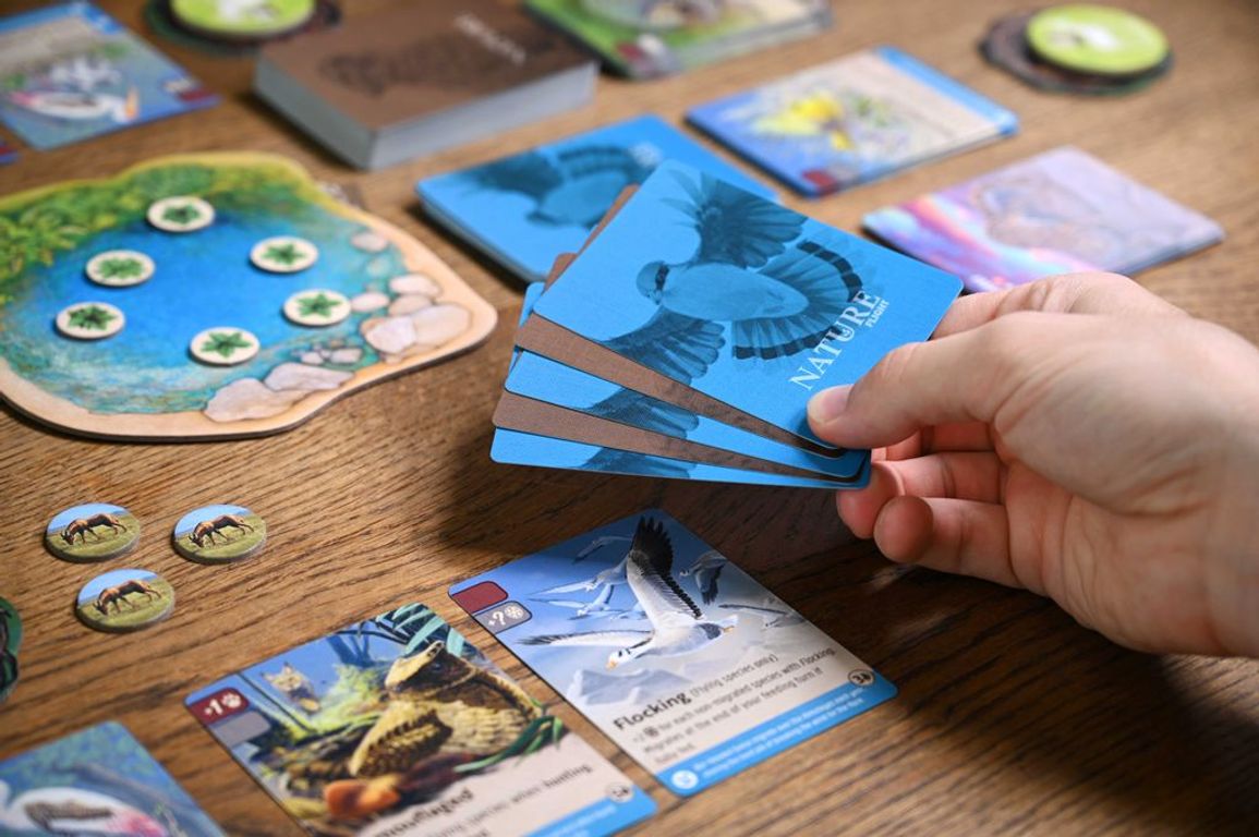 Nature: Flight gameplay