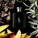 Ralph Lauren Polo Black Eau de toilette