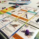 Wingspan: Espansione Europea gameplay