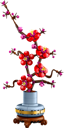 Les fleurs de prunier