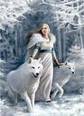 Anne Stokes: Winter Guardians