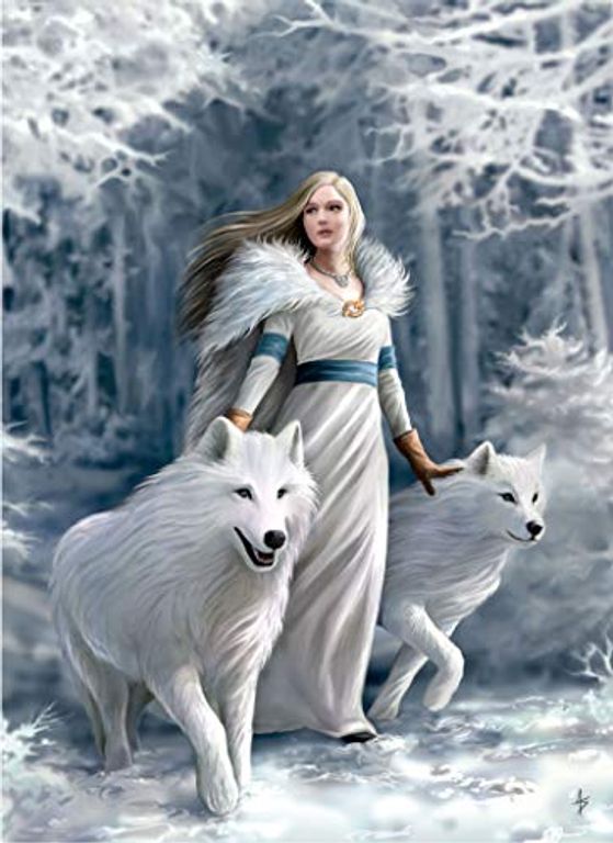 Anne Stokes: Winter Guardians