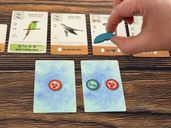Wingspan Pocket cards