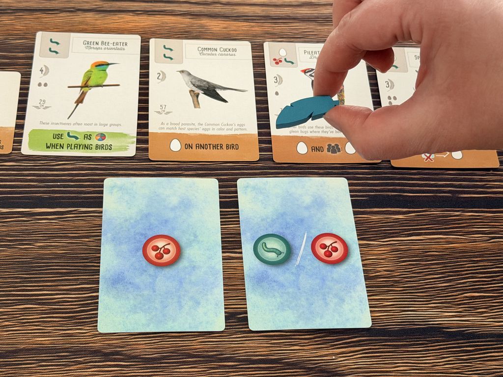 Wingspan Pocket cards