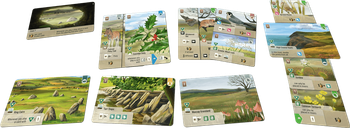 Forest Shuffle: Dartmoor – Exmoor cards