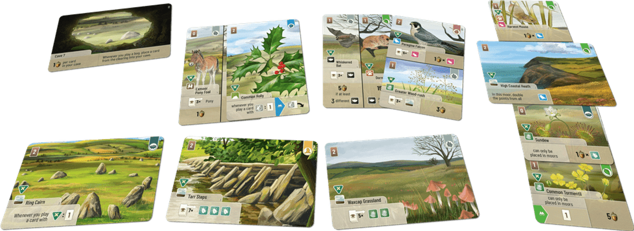 Forest Shuffle: Dartmoor – Exmoor cards