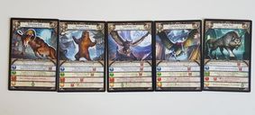 Hero Realms: The Lost Village Campaign Deck cards