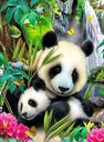 Lovely Panda