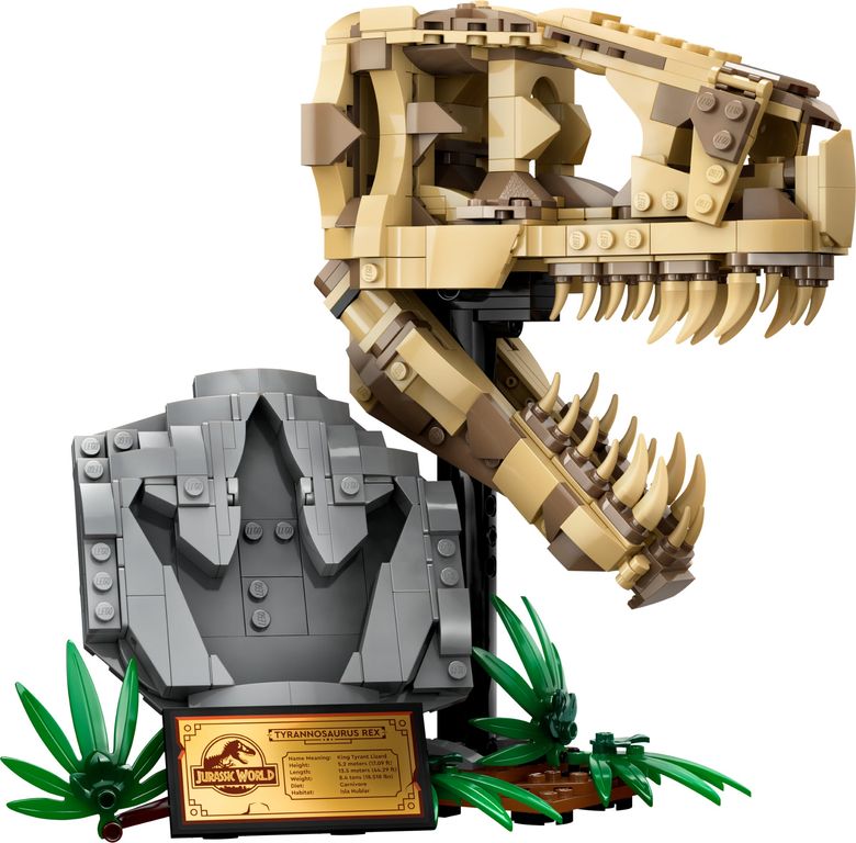 LEGO® Jurassic World Les fossiles de dinosaures: le crâne du T. rex composants