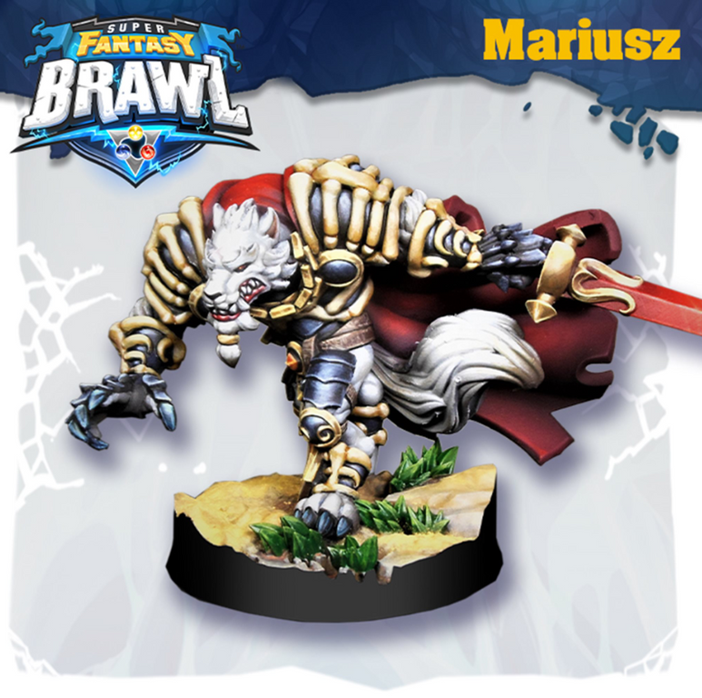 Super Fantasy Brawl: Circle of Blood miniatura