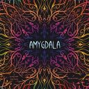 Amygdala