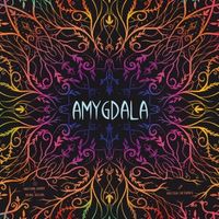 Amygdala