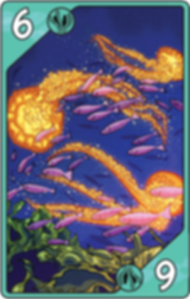 Sea Change cards