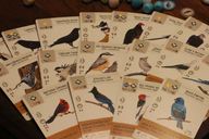 Wingspan cards