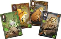Into The Black Forest cards