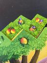 Under the Mango Tree cases