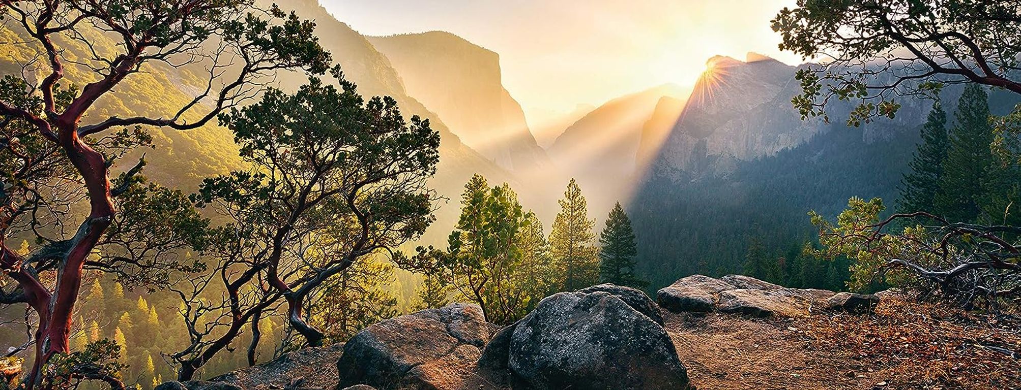 Yosemite Park