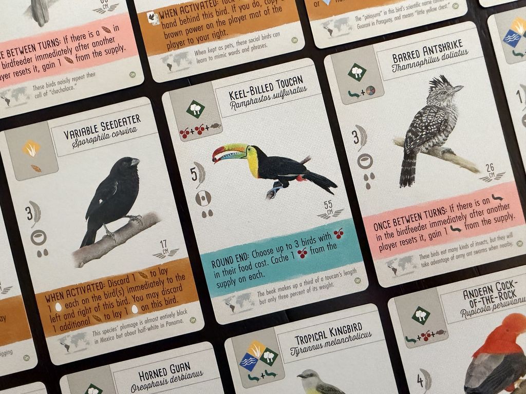Wingspan: Americas Expansion cards