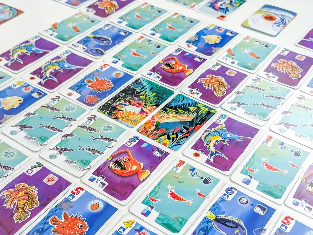 Fintastic Sea cards