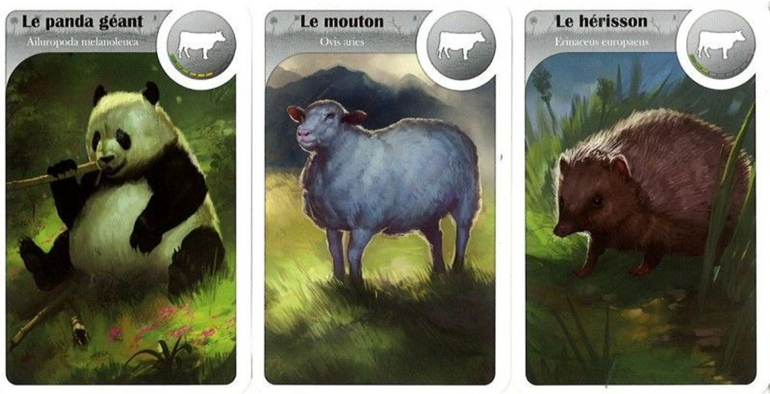 Asmodée - Juego de tablero (versión en francés) cartas