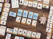 Wingspan Pocket components