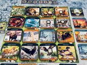 Keystone: North America – Second Edition carte