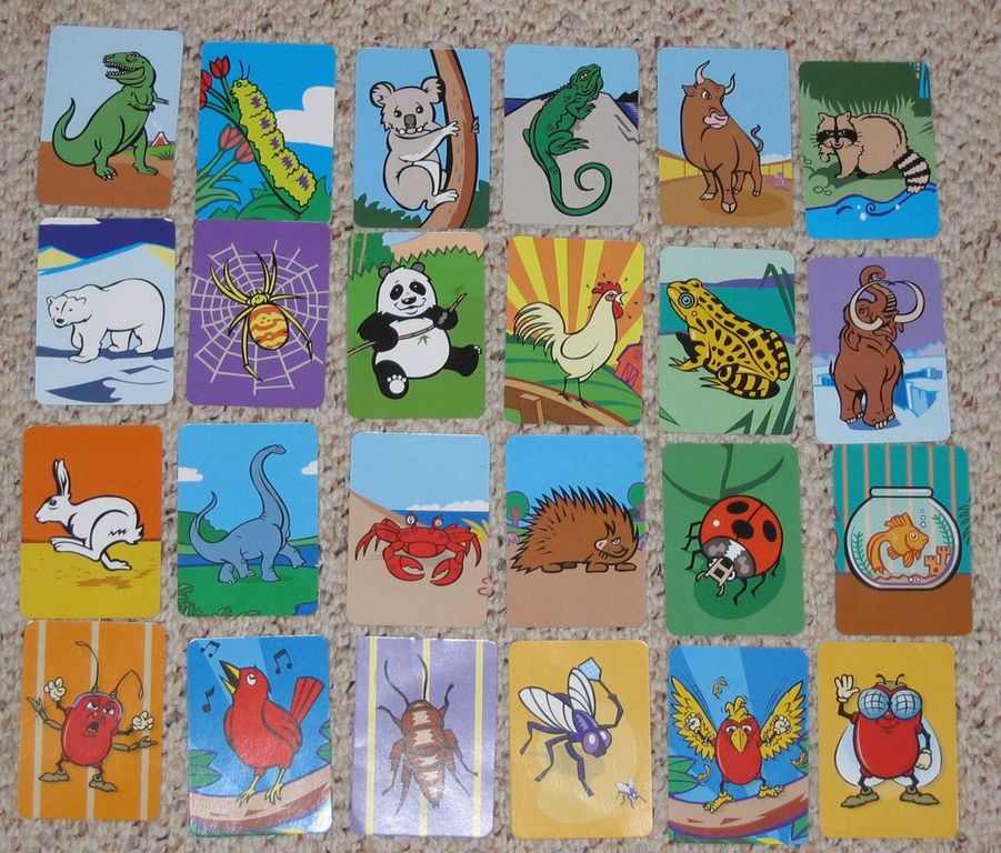 Birds, Bugs and Beans cartes