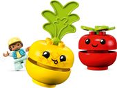 LEGO® DUPLO® Fruit- en Groentetractor componenten