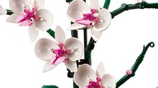 LEGO® Icons Orchidee komponenten