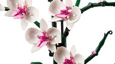 LEGO® Botanicals Orchidee komponenten