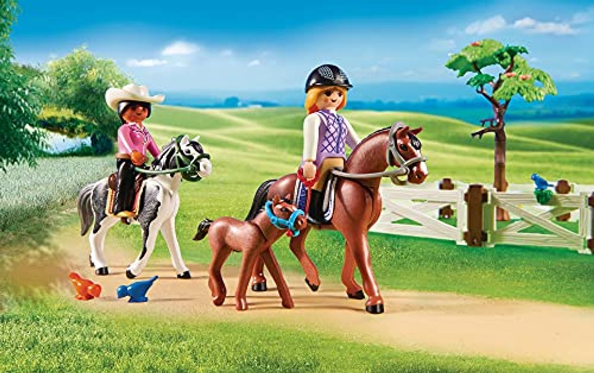 Playmobil® Country Horse Farm horses