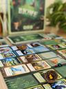 Biome cards
