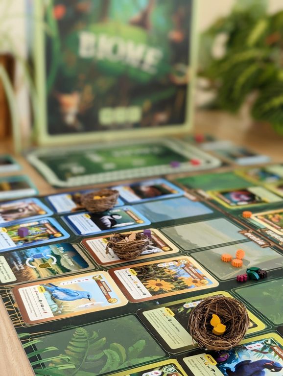 Biome cards
