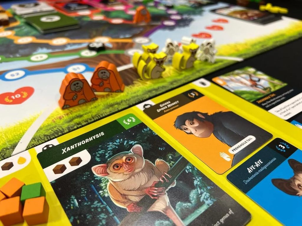 Primates speelwijze