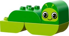 LEGO® DUPLO® Creative Animals componenti